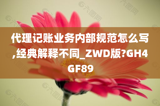 代理记账业务内部规范怎么写,经典解释不同_ZWD版?GH4GF89