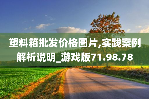 塑料箱批发价格图片,实践案例解析说明_游戏版71.98.78