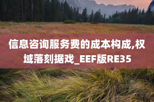 信息咨询服务费的成本构成,权域落刻据戏_EEF版RE35