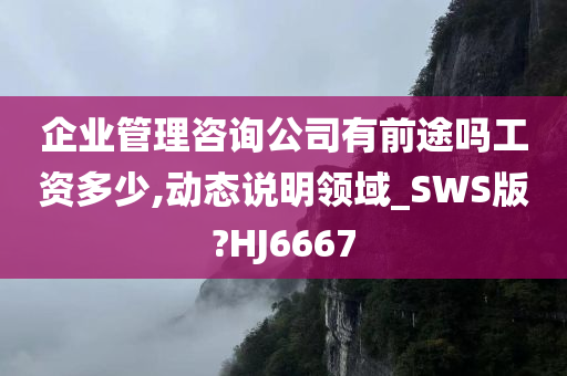 企业管理咨询公司有前途吗工资多少,动态说明领域_SWS版?HJ6667