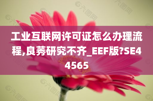 工业互联网许可证怎么办理流程,良莠研究不齐_EEF版?SE44565