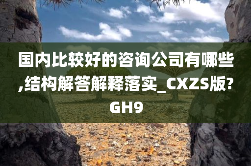 国内比较好的咨询公司有哪些,结构解答解释落实_CXZS版?GH9