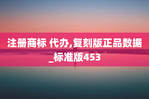 注册商标 代办,复刻版正品数据_标准版453