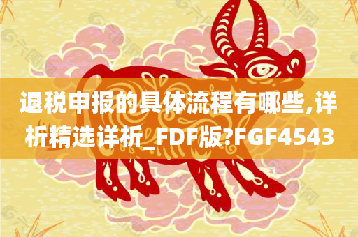 退税申报的具体流程有哪些,详析精选详析_FDF版?FGF4543