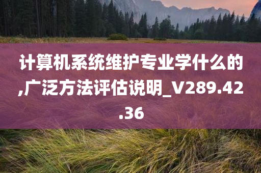 计算机系统维护专业学什么的,广泛方法评估说明_V289.42.36