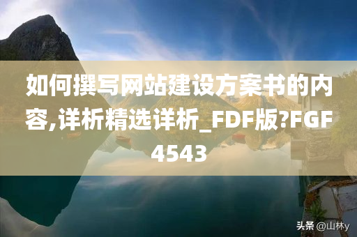 如何撰写网站建设方案书的内容,详析精选详析_FDF版?FGF4543