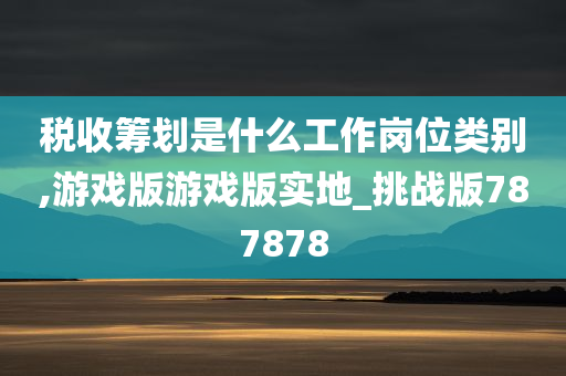 税收筹划是什么工作岗位类别,游戏版游戏版实地_挑战版787878