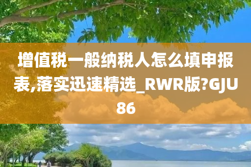 增值税一般纳税人怎么填申报表,落实迅速精选_RWR版?GJU86