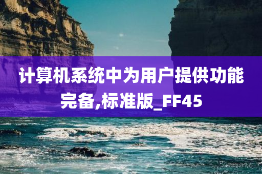 计算机系统中为用户提供功能完备,标准版_FF45