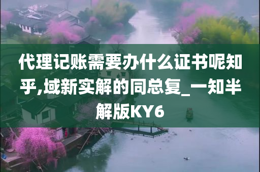 代理记账需要办什么证书呢知乎,域新实解的同总复_一知半解版KY6