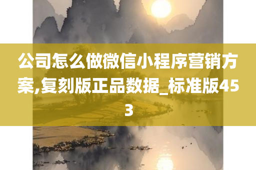 公司怎么做微信小程序营销方案,复刻版正品数据_标准版453