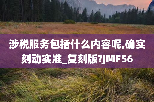 涉税服务包括什么内容呢,确实刻动实准_复刻版?JMF56