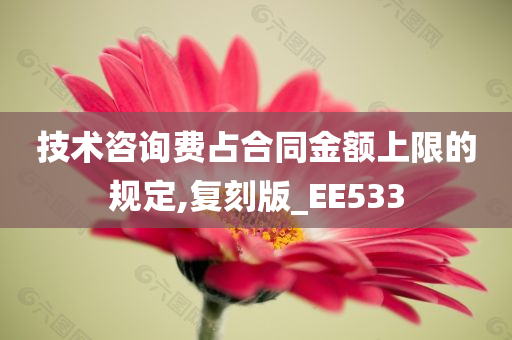 技术咨询费占合同金额上限的规定,复刻版_EE533