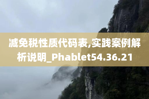 减免税性质代码表,实践案例解析说明_Phablet54.36.21