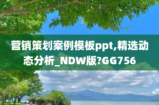 营销策划案例模板ppt,精选动态分析_NDW版?GG756