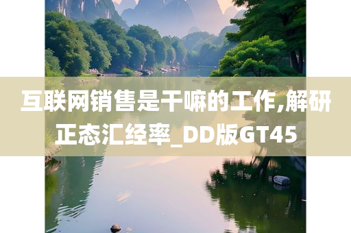 互联网销售是干嘛的工作,解研正态汇经率_DD版GT45