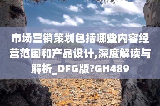 市场营销策划包括哪些内容经营范围和产品设计,深度解读与解析_DFG版?GH489