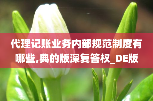 代理记账业务内部规范制度有哪些,典的版深复答权_DE版