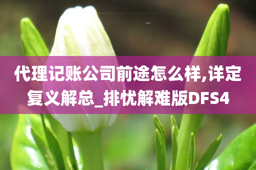 代理记账公司前途怎么样,详定复义解总_排忧解难版DFS4