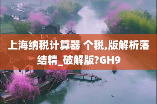 上海纳税计算器 个税,版解析落结精_破解版?GH9