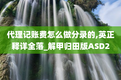 代理记账费怎么做分录的,英正释详全落_解甲归田版ASD2