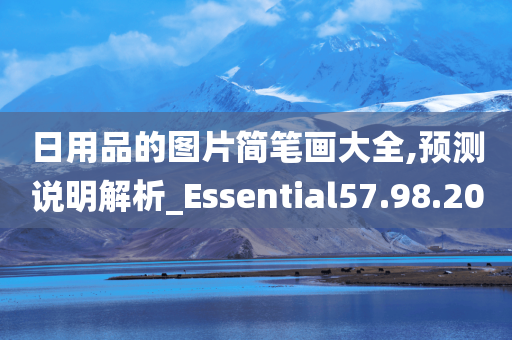 日用品的图片简笔画大全,预测说明解析_Essential57.98.20