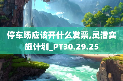 停车场应该开什么发票,灵活实施计划_PT30.29.25