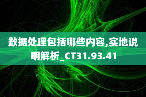 数据处理包括哪些内容,实地说明解析_CT31.93.41