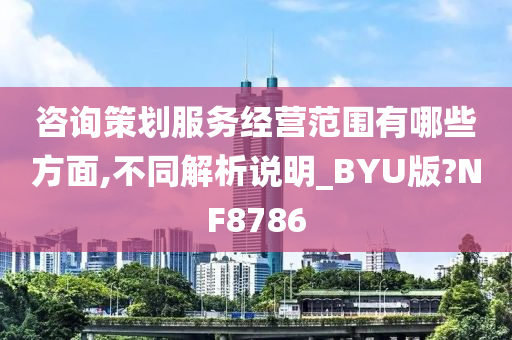 咨询策划服务经营范围有哪些方面,不同解析说明_BYU版?NF8786