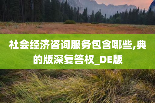 社会经济咨询服务包含哪些,典的版深复答权_DE版