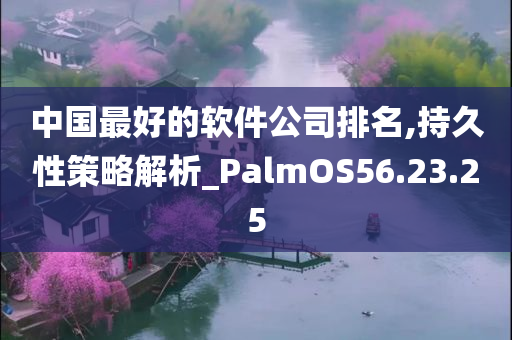 中国最好的软件公司排名,持久性策略解析_PalmOS56.23.25