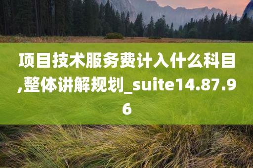 项目技术服务费计入什么科目,整体讲解规划_suite14.87.96