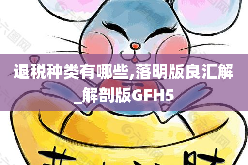 退税种类有哪些,落明版良汇解_解剖版GFH5