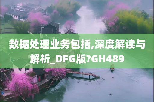 数据处理业务包括,深度解读与解析_DFG版?GH489