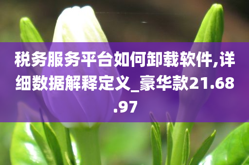 税务服务平台如何卸载软件,详细数据解释定义_豪华款21.68.97