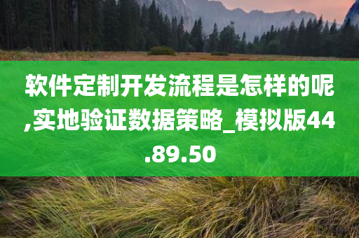 软件定制开发流程是怎样的呢,实地验证数据策略_模拟版44.89.50