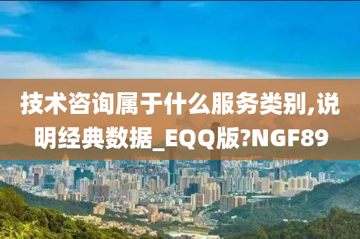 技术咨询属于什么服务类别,说明经典数据_EQQ版?NGF89