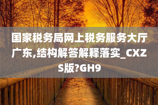 国家税务局网上税务服务大厅广东,结构解答解释落实_CXZS版?GH9