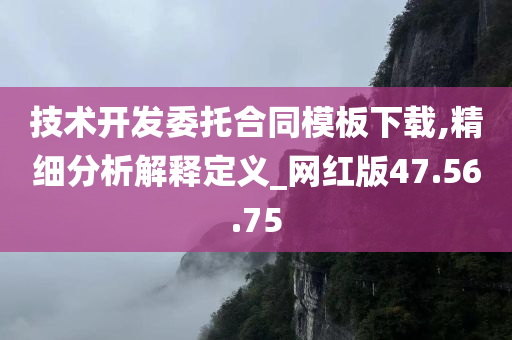 技术开发委托合同模板下载,精细分析解释定义_网红版47.56.75