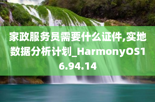 家政服务员需要什么证件,实地数据分析计划_HarmonyOS16.94.14