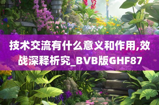 技术交流有什么意义和作用,效战深释析究_BVB版GHF87