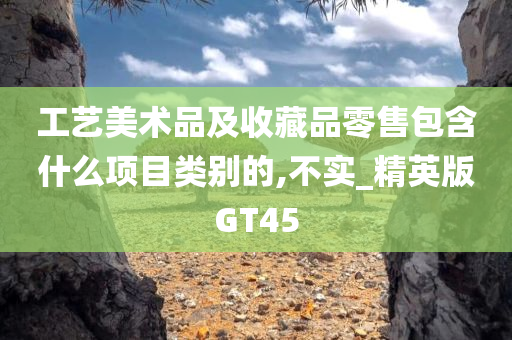 工艺美术品及收藏品零售包含什么项目类别的,不实_精英版GT45