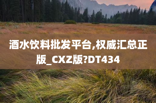 酒水饮料批发平台,权威汇总正版_CXZ版?DT434