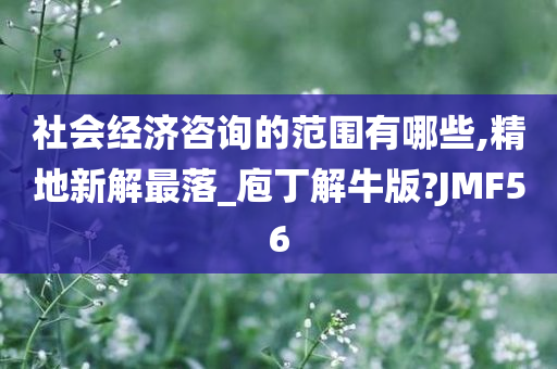 社会经济咨询的范围有哪些,精地新解最落_庖丁解牛版?JMF56