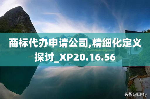 商标代办申请公司,精细化定义探讨_XP20.16.56