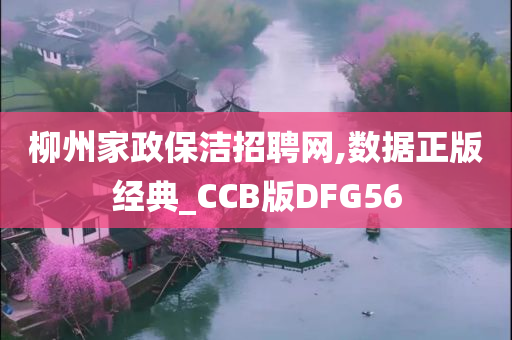 柳州家政保洁招聘网,数据正版经典_CCB版DFG56