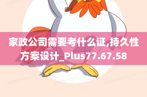 家政公司需要考什么证,持久性方案设计_Plus77.67.58