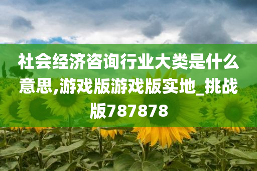 社会经济咨询行业大类是什么意思,游戏版游戏版实地_挑战版787878