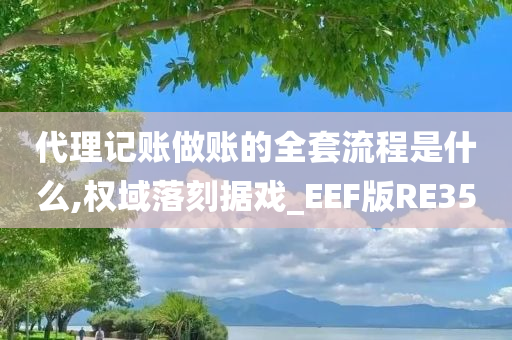 代理记账做账的全套流程是什么,权域落刻据戏_EEF版RE35