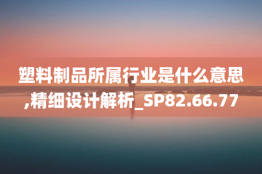 塑料制品所属行业是什么意思,精细设计解析_SP82.66.77